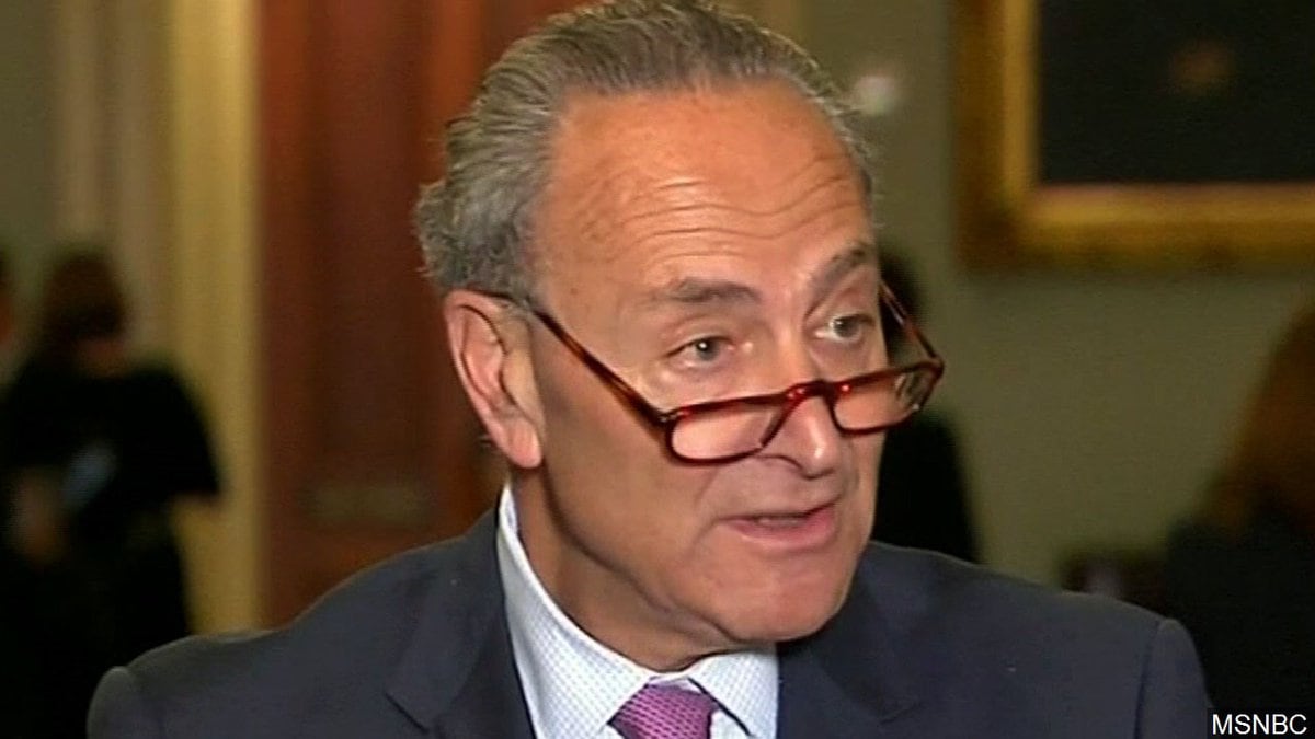 Senate Majority Leader Chuck Schumer Reelected In New York 9205