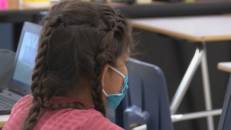 More Vermont medical groups are calling for the state to do more to protect children who are...