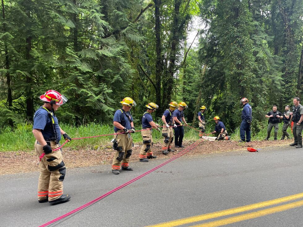 A missing man was found alive by firefighters at the bottom of a ravine.