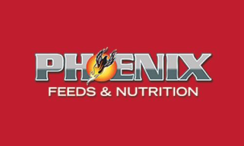 Who's Hiring Phoenix Feeds