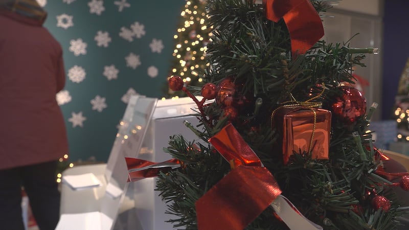 ANEW Place, centered in Chittenden County, is holding its second Celebration of Trees.