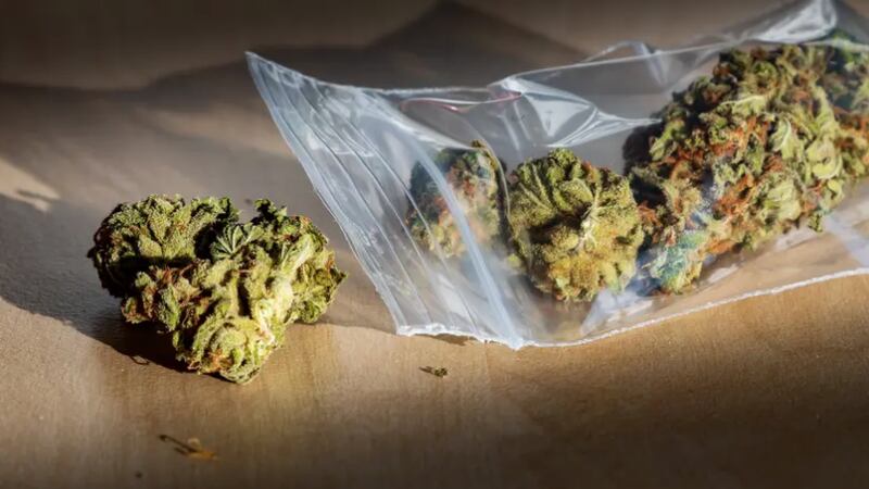 New York has issued the first 36 cannabis dispensary licenses on Monday, taking a monumental...