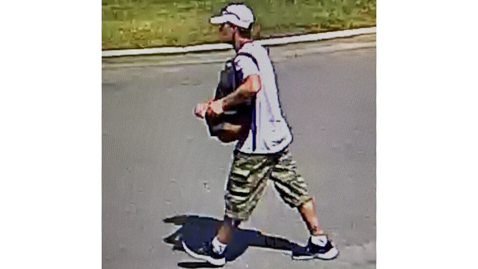 Surveillance photo