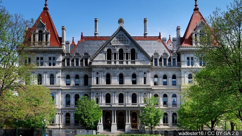NY Senate confirms new secretary of state and construction authority leader - Vimarsana News