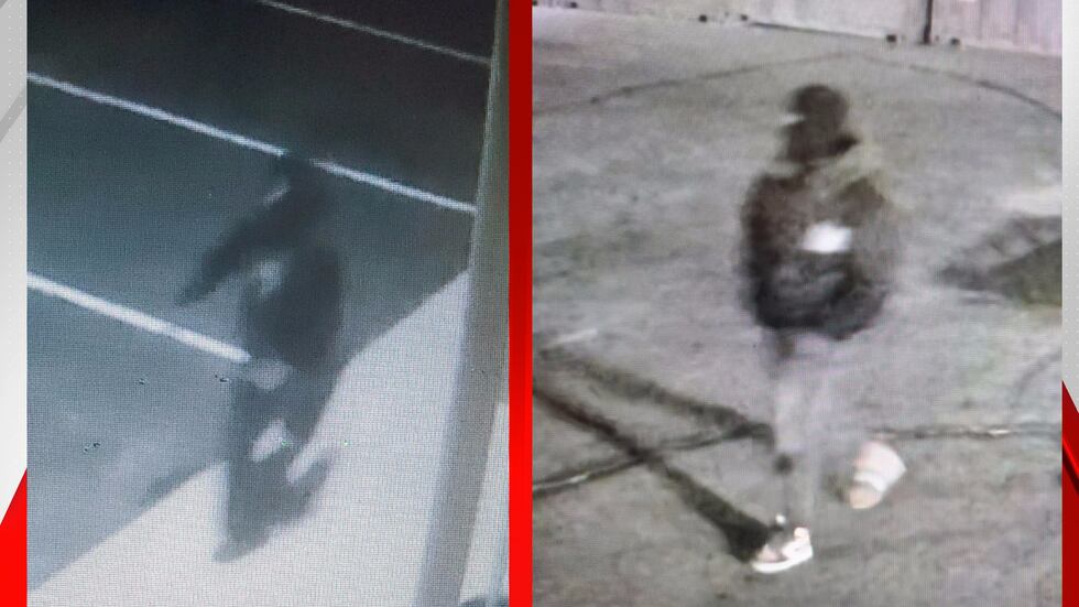 Las Vegas police arrest 18-year-old suspected of stalking, killing victims