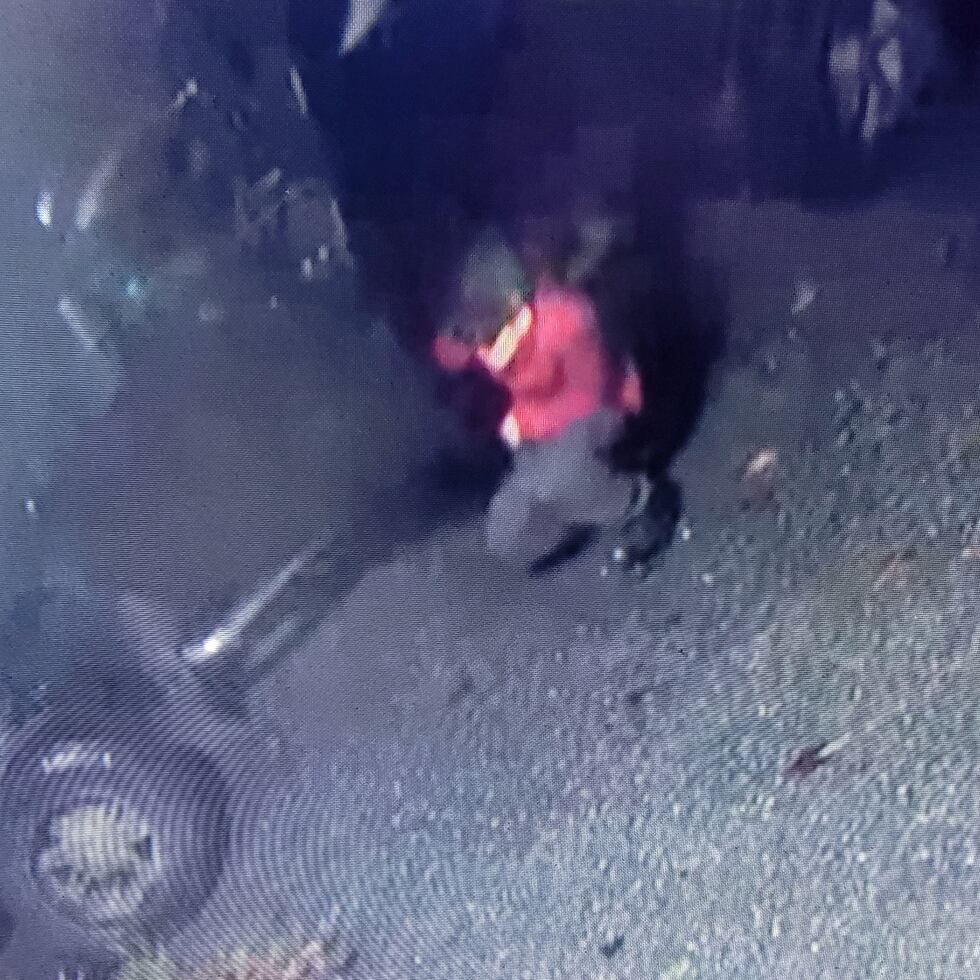 Surveillance photo