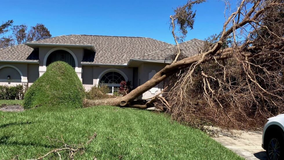 When they managed to get back home, they were relieved to find their house suffered only minor...