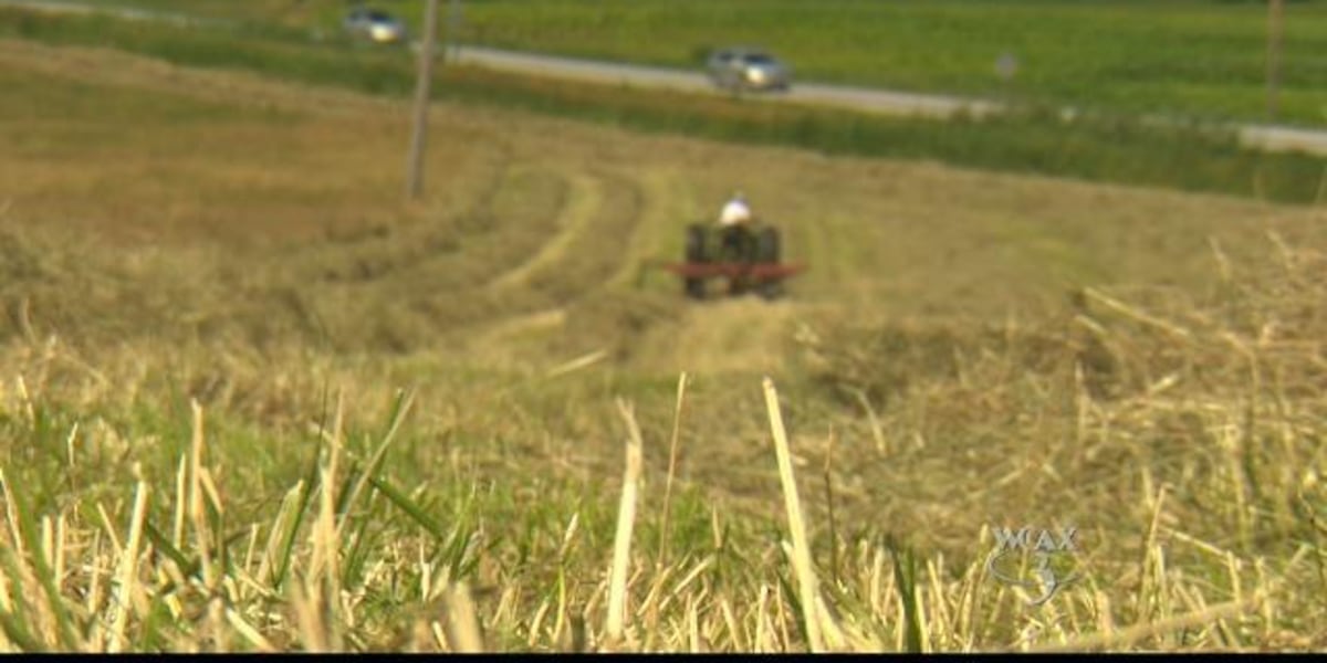 UVM offers new soil testing services UVM offers new soil testing services